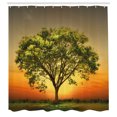 thumbnail image 3 of Ambesonne Landscape Shower Curtain, Sunset Scenery Valley, 69"Wx70"L, Fern Green Marigold, 3 of 5