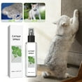Wrjufa Herbal Cats Catnip Spray For Cats Scratching Spray Mist Herbal