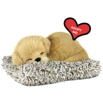 Mini Golden Retriever, Realistic, Lifelike Stuffed Interactive Plush Toy, Electronic Pets, Companion Pet Puppy with 100% Synthetic Fur – Perfect Petzzz