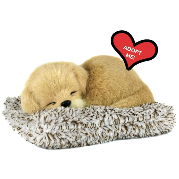 Mini Golden Retriever, Realistic, Lifelike Stuffed Interactive Plush Toy, Electronic Pets, Companion Pet Puppy with 100% Synthetic Fur – Perfect Petzzz