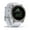 Titanium w/ Whitestone Band, variant on Garmin epix Pro (Gen 2) Sapphire Edition, 51mm, High Performance Smartwatch, Advanced Training Technology, Built-in Flashlight, Black