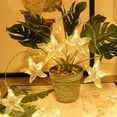 thumbnail image 5 of YUNOVA 9.84FT Battery Powered Shell String Lights - 20 LED Starfish & Seashell Fairy Lights, Ocean Theme Decor for Bedroom, Wedding, Garden Party, Beach Holiday Decorations, 5 of 8