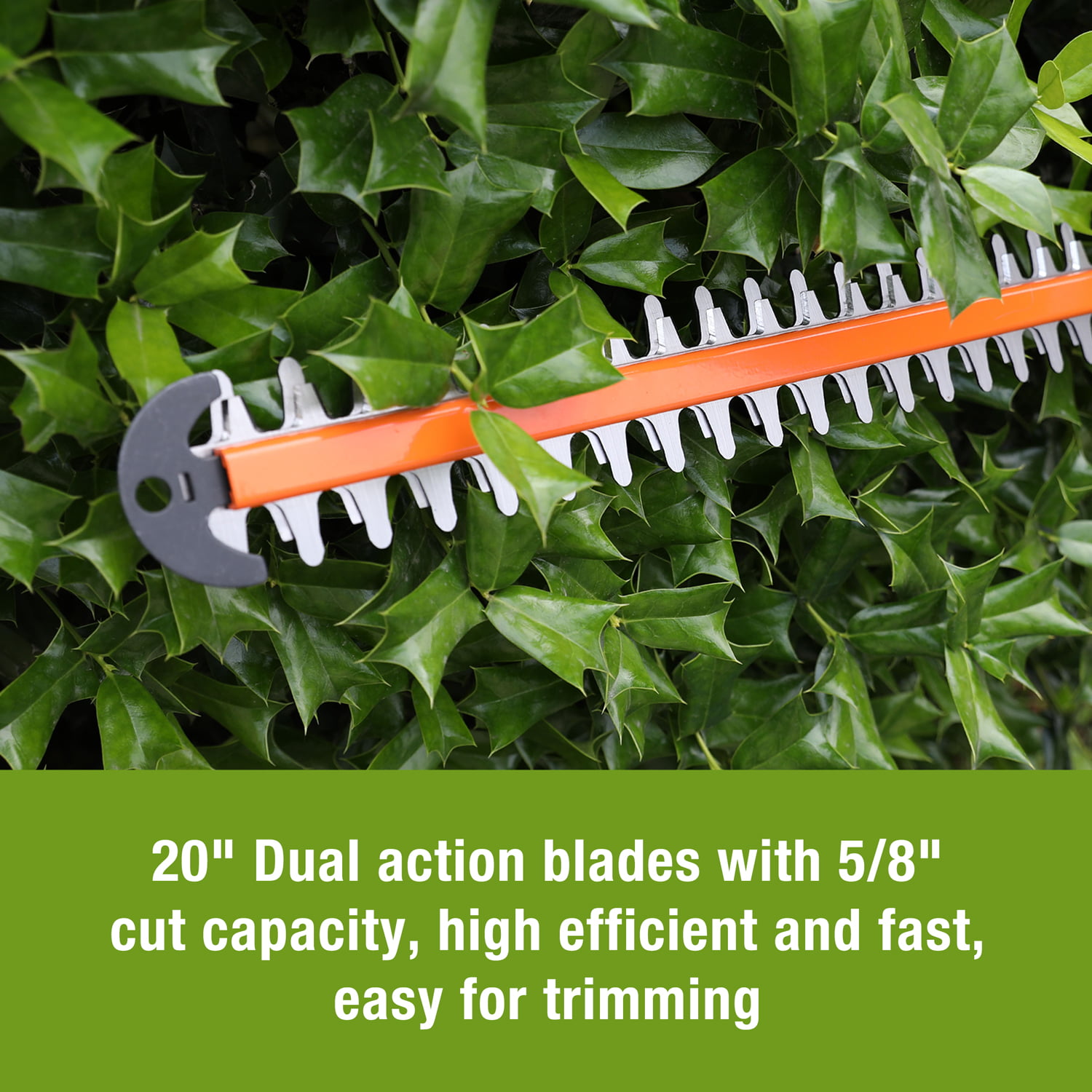 Hedge Trimmer, Dual-Action Blade, 16-Inch | BLACK+DECKER