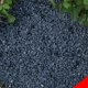 thumbnail image 1 of Piedras para plantas River Rocks Anothera, 8,16 kg, color negro natural, 1 of 6