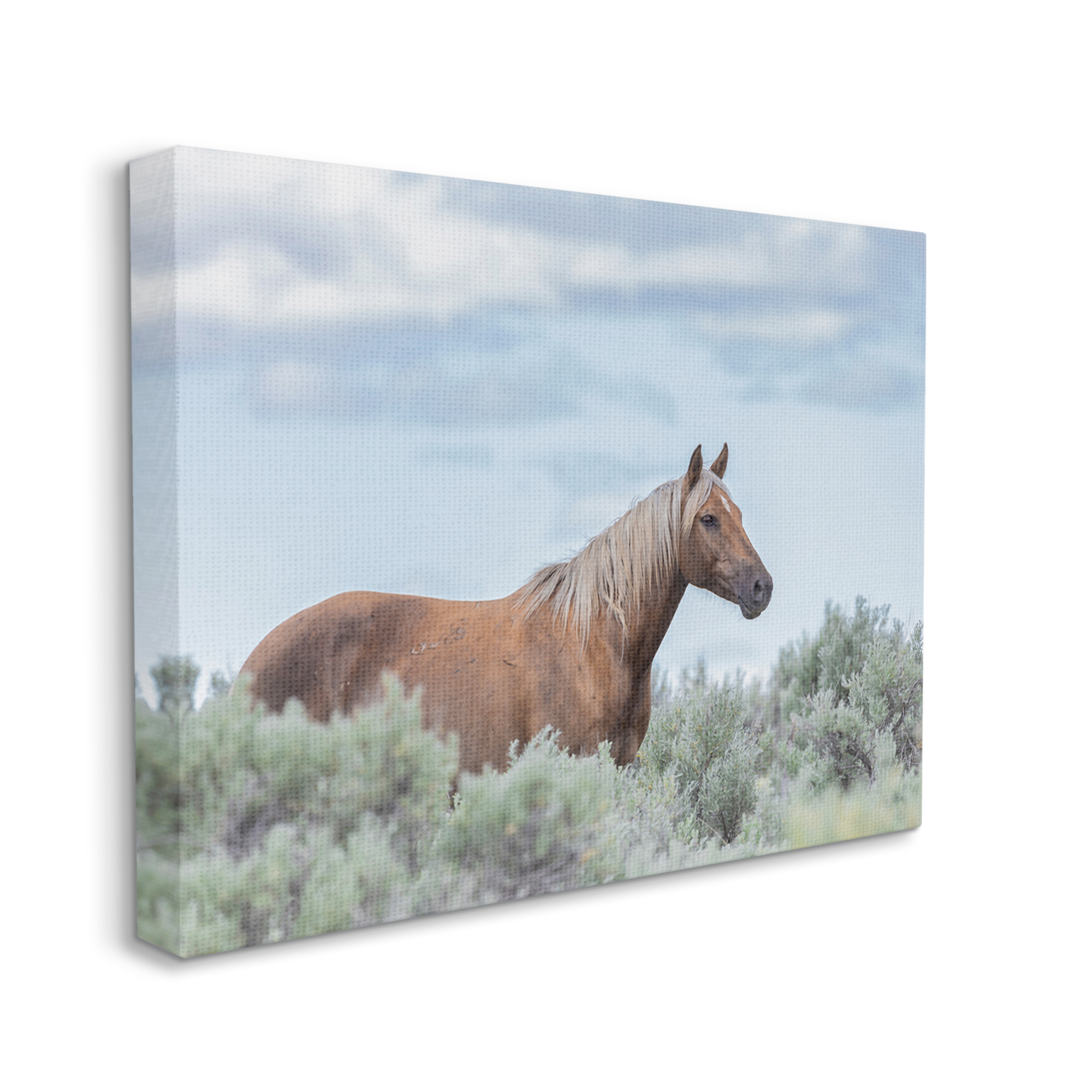 Stupell Industries Stallion Horse Among Bushes Clear Blue Sky Graphic Art Gallery Wrapped Canvas Print Wall Art, Design by Lauri McFerrin