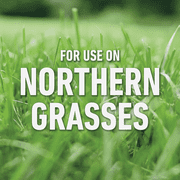 Roundup For Lawns Northern Formula Weed Killer - Single Pack — Residential Use, Standard Application