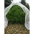 thumbnail image 2 of Agfabric Plant Cover Warm Worth Frost Blanket - 0.9 oz Fabric of 84"x 84" Shrub Jacket - Rectangle Plant Cover for Season Extension & Frost Protection, 2 of 7