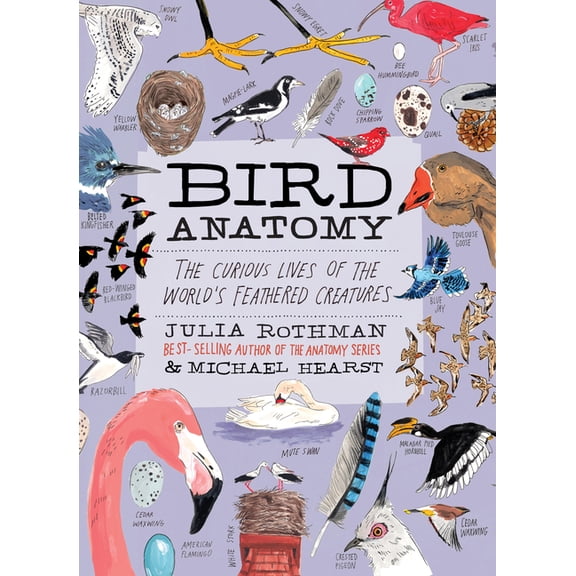 Anatomy Bird Anatomy: The Curious Lives of the World's Feathered Creatures, (Paperback)