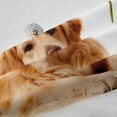 thumbnail image 5 of Homewish Golden Retriever Dog Blackout Curtains,Cartoon Animal Curtains Pack of 2 (42x84 Each),White,Dandelion Flower Decor, 5 of 6