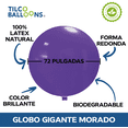thumbnail image 3 of Pack x2 Globos Gigantes 72 pulgadas Color Morado Tilco Bolloons, 3 of 3