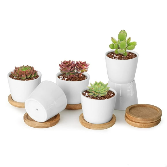 T4U 2.5 Inch Small White Succulent Planter Pots with Bamboo Tray Round Set of 6, Ceramic Succulent Air Plant Flower Pots Cactus Faux Plants Containers, White Modern Decor for Home and Office