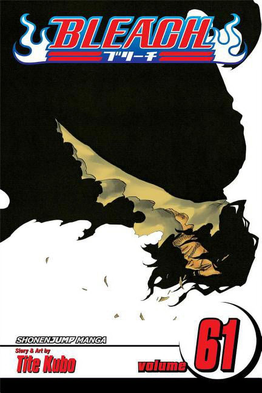 Bleach Bleach, Vol. 58: The Fire, Book 58, (Paperback) - Walmart.com