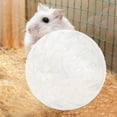 thumbnail image 6 of jibingyi Funny Hamster Ball Gerbil Running Ball Chinchilla Exercise Ball Funny Pet Running Ball Toy, 6 of 8