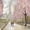 Paris Stroll, variant on Elephant Stock Pink Paris Wall Art - Horizontal Canvas Wall Art - Living Room Wall Decor - Places Canvas - Gray And White Decor - 12" x 8"