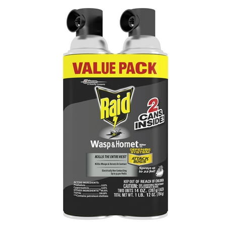 Raid Wasp & Hornet Killer 33, 14 oz (2 ct)
