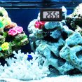 2pcs Digital Thermometers Fish Tank Thermometer Small Indoor
