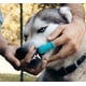 thumbnail image 3 of 2 cepillos de dientes de silicona para perros, diseño ergonómico, fáciles de usar, color azul., 3 of 5