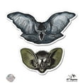thumbnail image 1 of Bats Set of 2 Heads Realistic - 12" Vinyl Sticker Waterproof Decal, 1 of 1