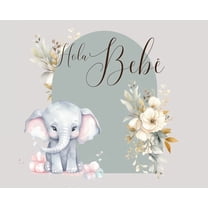 Hola, bebÃ© (baby shower), (Hardcover)