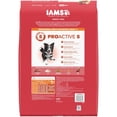 thumbnail image 3 of Iams Proactive Health Minichunks Dry Dog Food with Real Lamb & Rice, 15 lb. Bag, 3 of 9