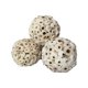 thumbnail image 1 of Natural Sola Balls Soft Chew Foraging Bird Toy For Rabbit Parrots Chinchillas Hamster Guinea Pig He Qiyong unisex, 1 of 2