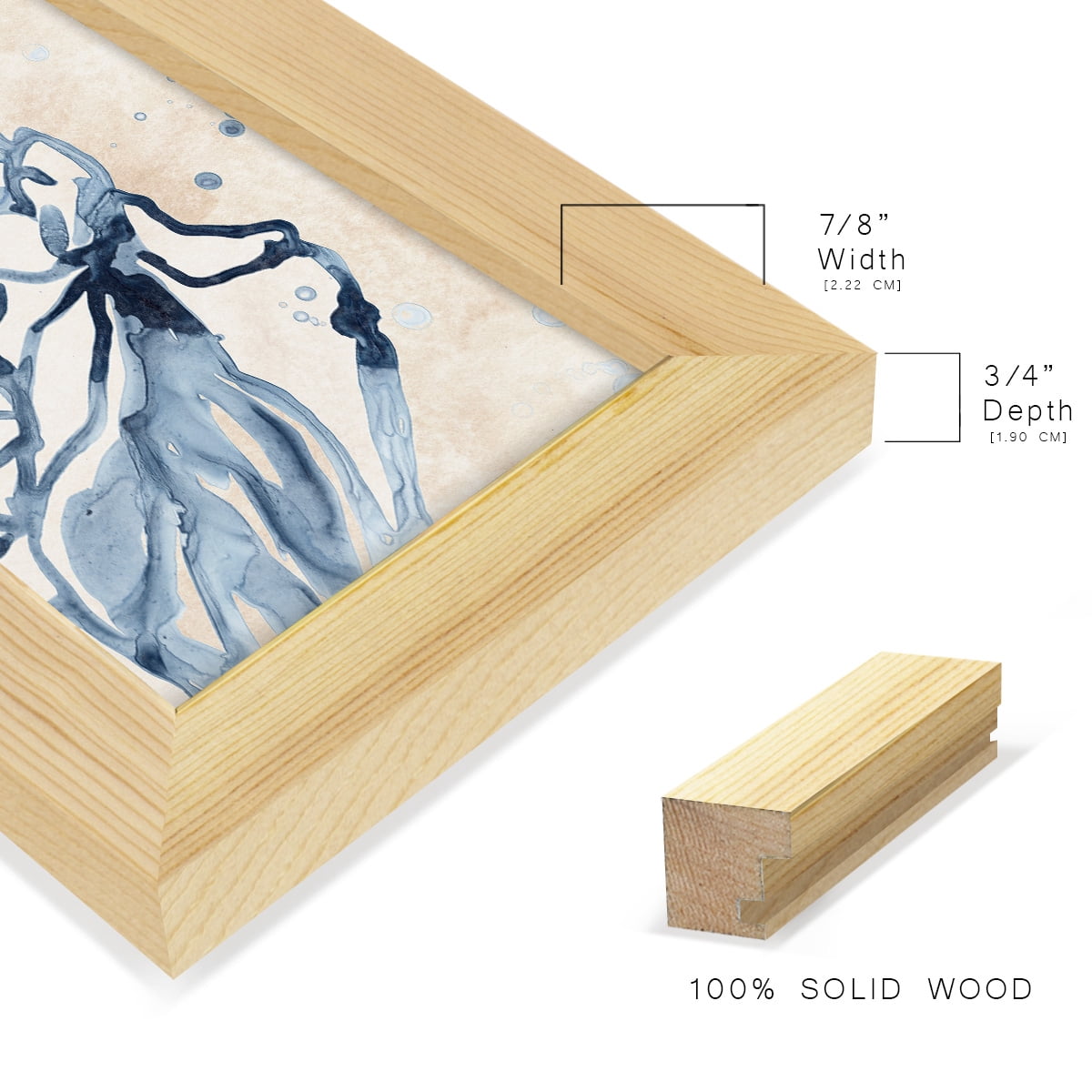Water Shells I - Framed Print w/glass - Natural Wood