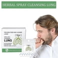 thumbnail image 1 of 7pcs Organic Herbal Lung Cleansing Detoxifying Repair Nose Ring Better Breathing Nasal Relief Nose Discomfort Nasal, 1 of 5