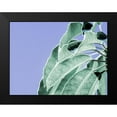 thumbnail image 2 of Bane, Eva 14x12 Black Modern Framed Museum Art Print Titled - Clear Leaves on Blue I, 2 of 5