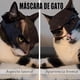 thumbnail image 4 of Máscara de murciélago y gato, 2 piezas, máscara de murciélago y gato de cabeza completa para cosplay, sombrero estilo murciélago para Halloween para gatos, accesorios divertidos y creativos para disfr, 4 of 5