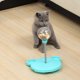 thumbnail image 5 of Bola de comida con fugas para gatos, juguete oscilante con vaso automático (combinación azul) Likrtyny Para estrenar, 5 of 8