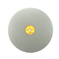 thumbnail image 1 of Disco de lijado plano de diamante recubierto de 250 mm (10 pulgadas) con grano 500, 1 of 5
