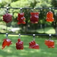 thumbnail image 2 of K-KED 5pc Red Agate Hand Carved Animal Sun Stone Luck Energy Pendants Necklace 17.5''-Owl, 2 of 9