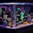 thumbnail image 3 of Moluckfu 2Ud Para Paisaje Y De Acuario, 3 of 6