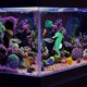 thumbnail image 4 of NUOLUX 2Ud Accesorio Sea Horse Para Pecera Creativa Para Uso En Hogar Y Oficina, 4 of 4