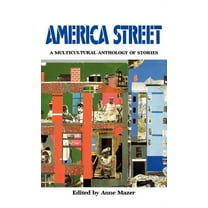 America Street: A Multicultural Anthology of Stamerica Street: A Multicultural Anthology of Stories (Hardcover)