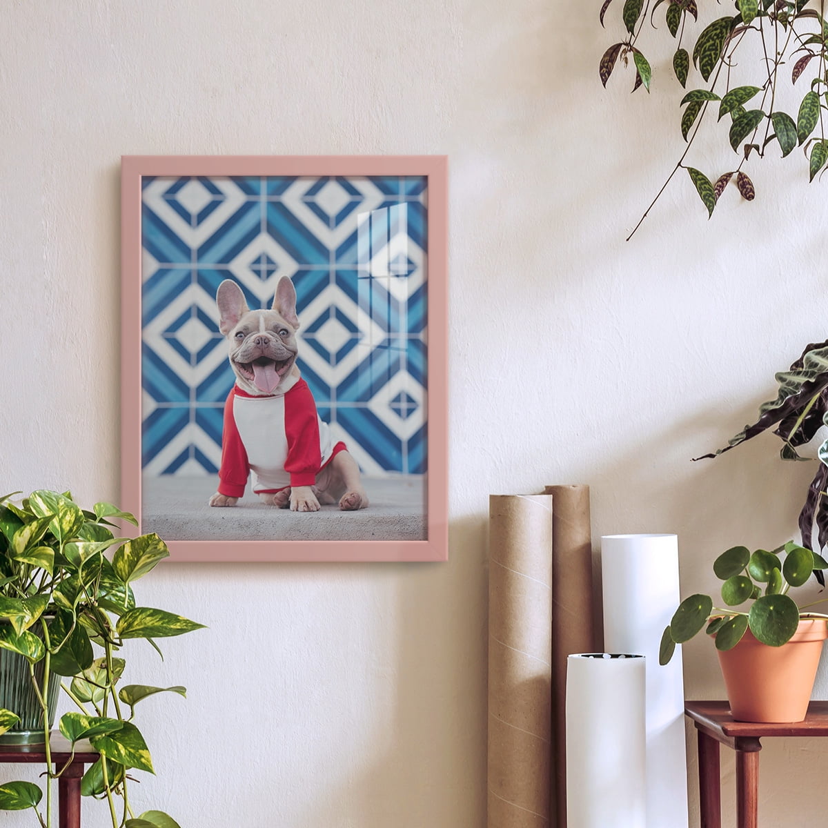 Modern 11 in. x 14 in. Pink Picture Frame (Set of 4)
