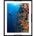 thumbnail image 5 of Art.com Diver With Light Next To Vertical Reef Formation, Pantar Island, Indonesia Photographic Print by Jones-Shimlock, Black Frame Wall Art, 23" x 29", 5 of 5