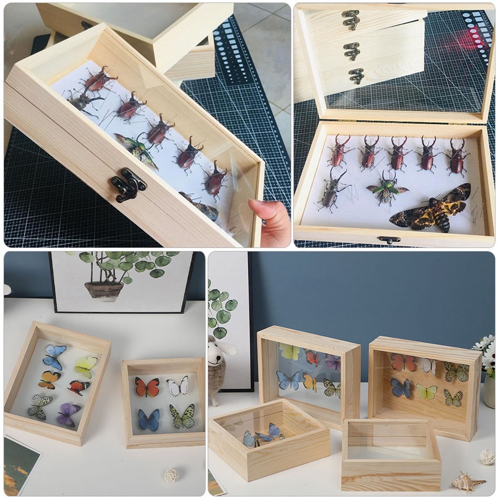 Insect Display Case Wooden Butterflies Specimen Display Box Vintage