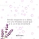 thumbnail image 3 of Dr. Natural Shampoo, Bodywash y Burbujas 473ml, Lavanda, 100% Natural. Bebé y Niño. Hipoalergénico, Sin Lágrimas y Ultrahidratante. Orgánico Hecho de Plantas y Aceites Naturales., 3 of 7