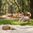 thumbnail image 6 of Cooling vest suitable for small to very large dogs - adjustable cooling jacket with reflective tape（Pink,2XL）, 6 of 6