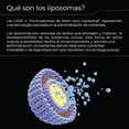 thumbnail image 3 of L-Treonato de Magnesio Liposomal Eternal Nutrition 150 Cápsulas 2100 mg, 3 of 7