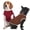 Coffee+DarkRed, variant on IECOii 2 Pack Dog T-Shirt for Small Dogs | Breathable Stretch Fit for Summer, UV Sun Protection for Chihuahua & Cats, Coffee+DarkRed,M