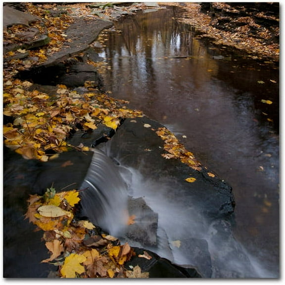 Trademark Fine Art "Lakeview Autumn Waterfall #2" Canvas Art by Kurt Shaffer