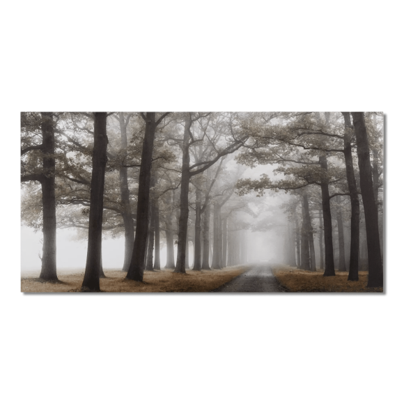 Bouclair Natural Mystical Pathway Printed Canvas 60 X 30 in (152.4 X 76.2 cm)
