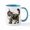 White/Blue Inside, variant on CafePress - Maine Coon Giant Mugs - 11 oz Ceramic Mug - Novelty Coffee Tea Cup