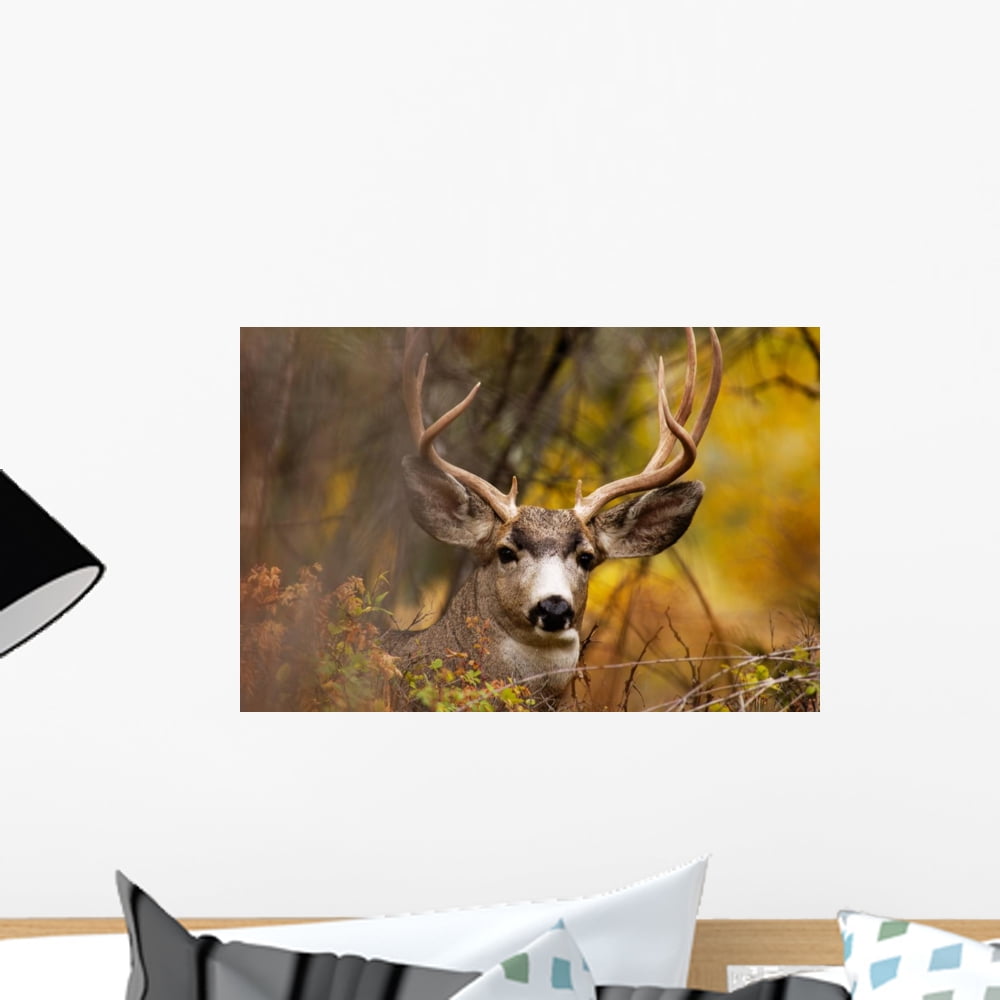 Deer during Fall Wall Mural by Wallmonkeys Peel and Stick Graphic (18