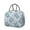 Grey-33, variant on Lunch Bag Lunch Box for Women Reusable Insulated Lunch Bags,Water-Resistant Sea Turtle Cooler Lunch Tote Bag, Large Capacity for Work Travel Picnic