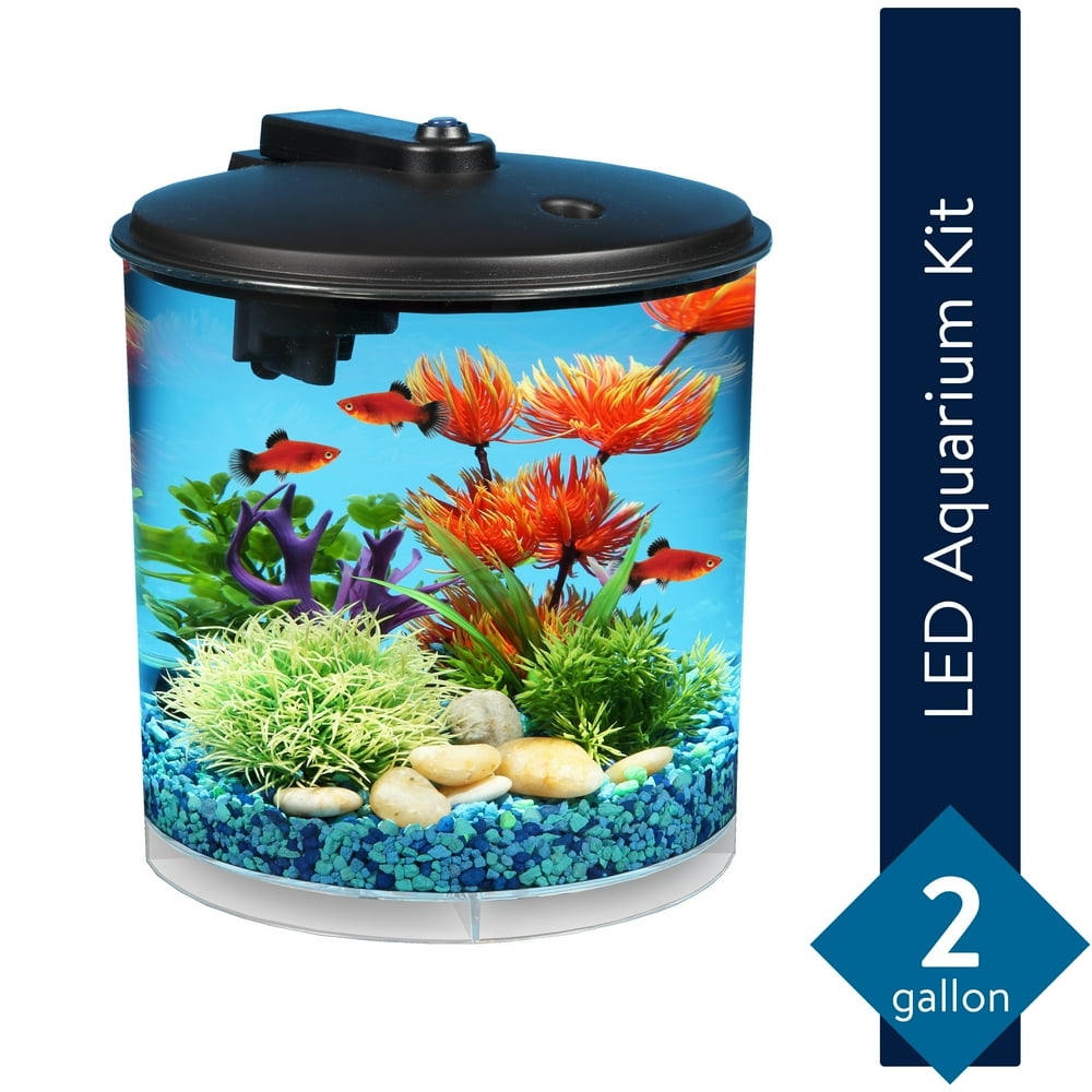 Hawkeye 2Gallon Aquarium Starter Kit with LED Lighting and Power