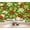 Color 2, variant on Wallpaper Vibrant Rainforest Jungle Botanical Bold Pink Teal Leaves Peel and Stick Wall Murals 100"H x 144"W Removable PVC Wall Paper Self-Adhesive Wall Paintings Art Decor for Bedroom Living Room