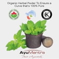 thumbnail image 4 of AyuMantra Tulsi Holy Basil Powder | Immune & Stress | 114gm, 4 of 5